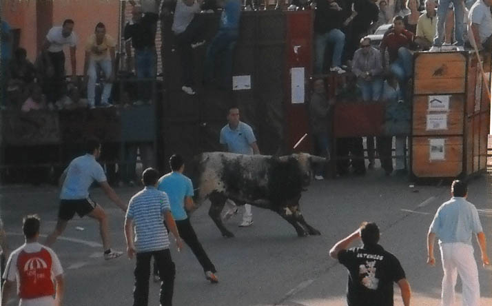 foto de Asoc. El Toro de Nava